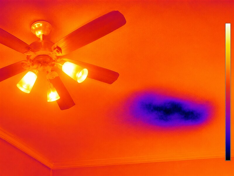 FLIR thermal image showing missing insulation in a ceiling
