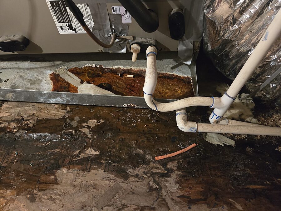 Air handler drain pan and condensate line checked during AC water leak diagnostics