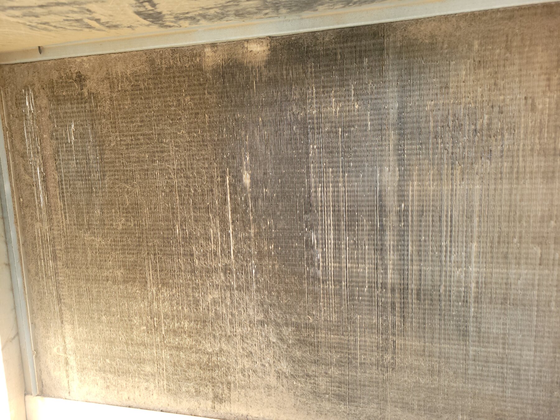 Dirty evaporator coil with dust buildup