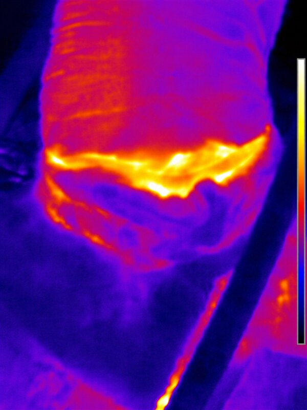 FLIR thermal image showing ductwork temperature pattern in an attic